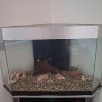 Acquario ad angolo 