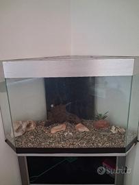 Acquario ad angolo 