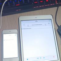 iPad mini 