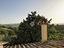 Immagine 25
