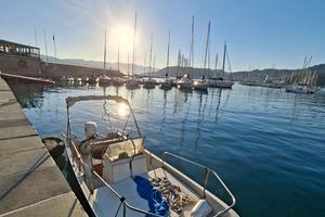 Boston Whaler Montauk 17" 1974