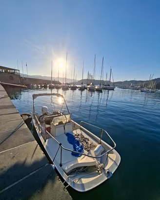 Boston Whaler Montauk 17" 1974