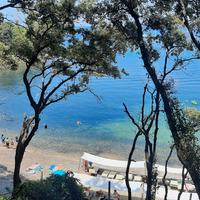 Autista Patente A,B,D + Cqc Persone