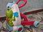 Immagine 1