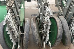 Trapiantatrice fedele