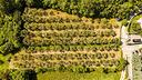 rif-607-terreno-agricolo-muggia