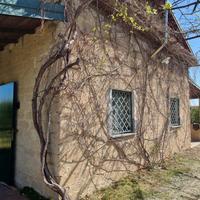 Terreno con agrumeto e casa
