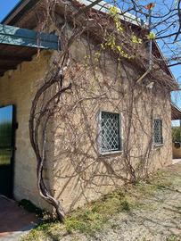 Terreno con agrumeto e casa