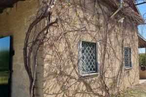 Terreno con agrumeto e casa