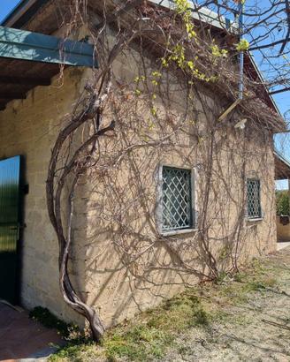 Terreno con agrumeto e casa