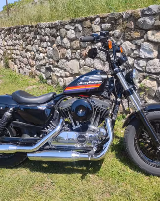 Accessori e ricambi Harley Davidson Sportster