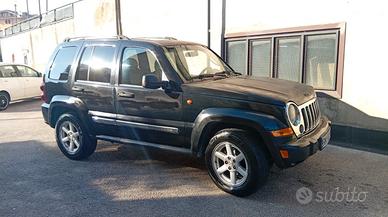 auto con targa Polacca 