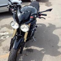 cupolino Triumph Speed Triple 1050