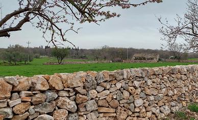 70 ettari PARCO ALTA MURGIA