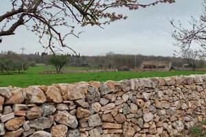 70 ettari PARCO ALTA MURGIA