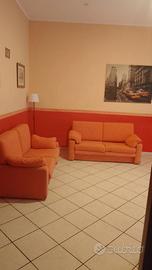 Coppia divani a 2 posti