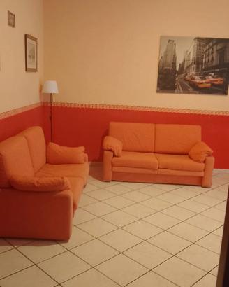 Coppia divani a 2 posti