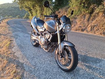 Honda Hornet 600