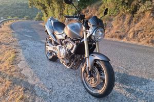 Honda Hornet 600