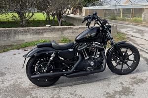 Harley-Davidson Sportster 883 - 2017