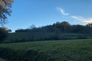 Terreno agricolo di lieve collina