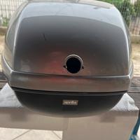 Bauletto scarabeo 50