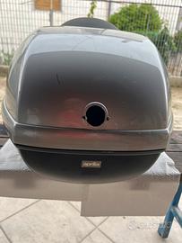 Bauletto scarabeo 50