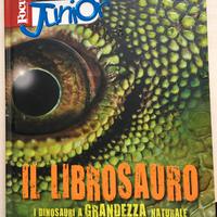 Libri per bambini - Focus alla scoperta dinosauri