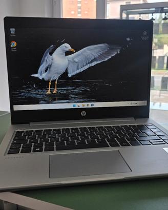 HP Probook 440 G7 i5 32gb RAM (ritiro l'usato)