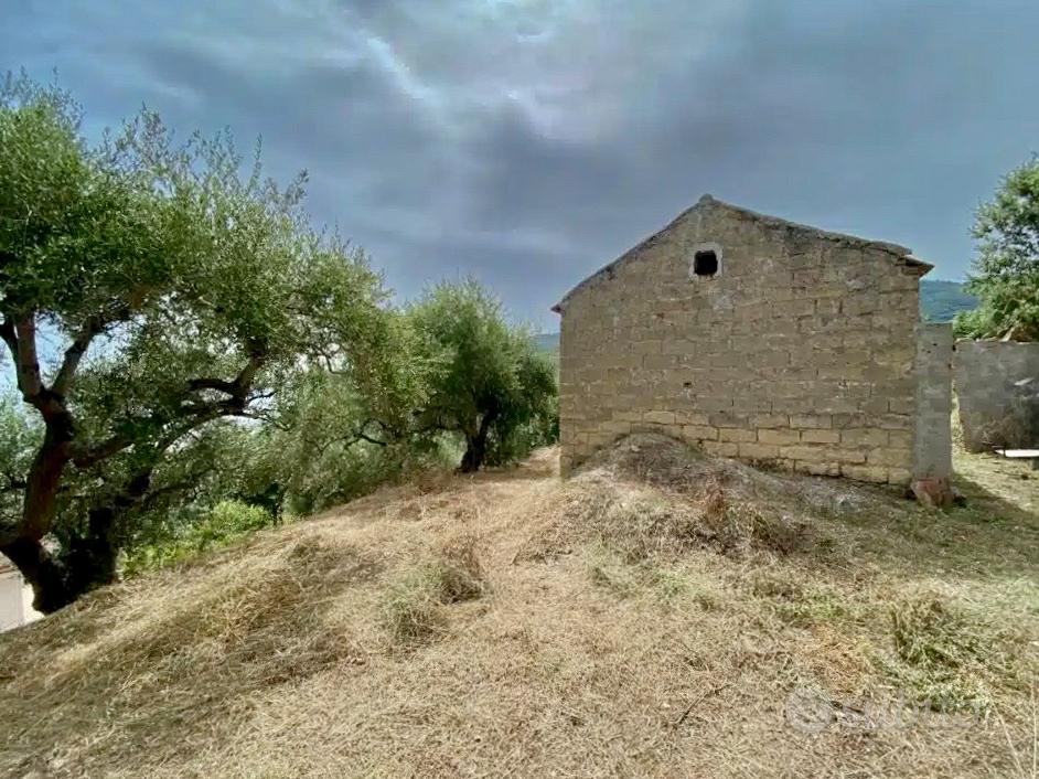 Rudere edificabile e terreno - Vista 4