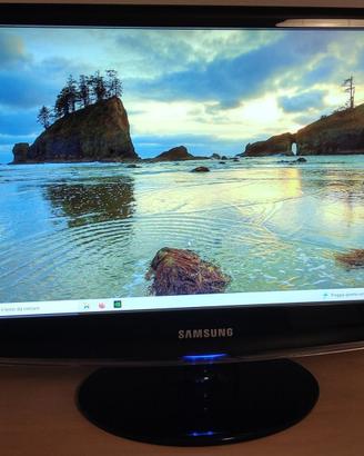 MONITOR SAMSUNG 2033SW - LCD 20 pollici