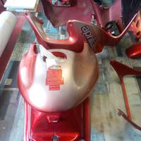 Plastiche Pegaso 650 cube