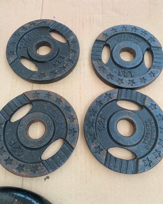 4 dischi in ghisa di  peso 1.25kg