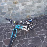 Bicicletta mountain bike raggio 20