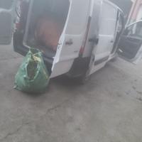 Giardinaggio agronomo e prato sintetico