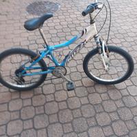 bici mtb 20 pollici