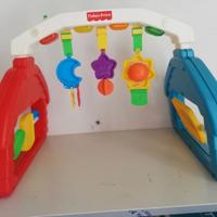 Palestrina attività