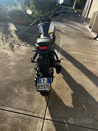 Benelli Leoncino 250