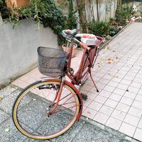 bicicletta donna 