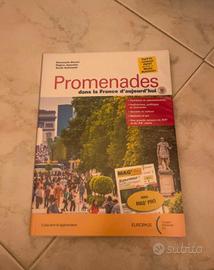 promenades dans la france d'aujourd'hui