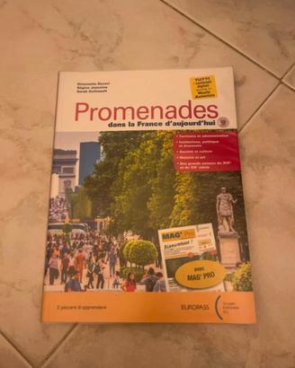 promenades dans la france d'aujourd'hui