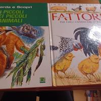 libri animali