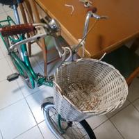 Bici pieghevole Welter