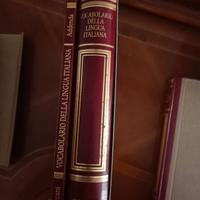 Libri della serie TRECCANI