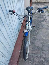 ebike