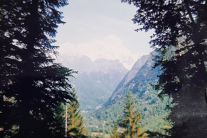 Rustico con bosco circostante prezzo trattabile