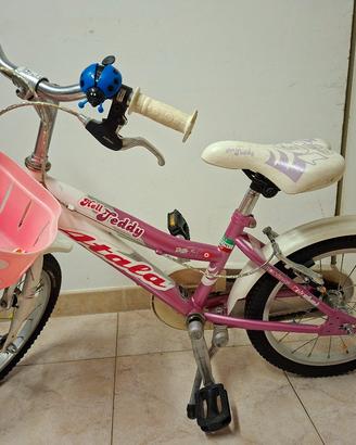 bicicletta