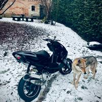 Aerox 77 leggere descrizione