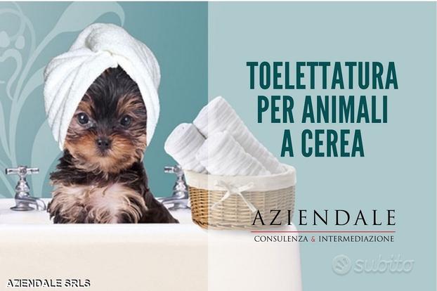 Toelettatura per animali a cerea