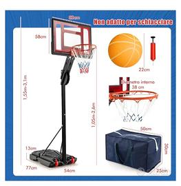 Canestro da basket per esterno 